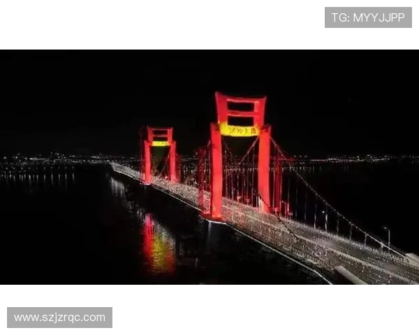 洪州大桥见证万人双向奔赴 南昌夜跑点燃全城热恋 洪州大桥见证万人双向奔赴 南昌夜跑点燃全城热恋